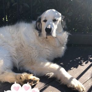 Meet your Posher, Julianna